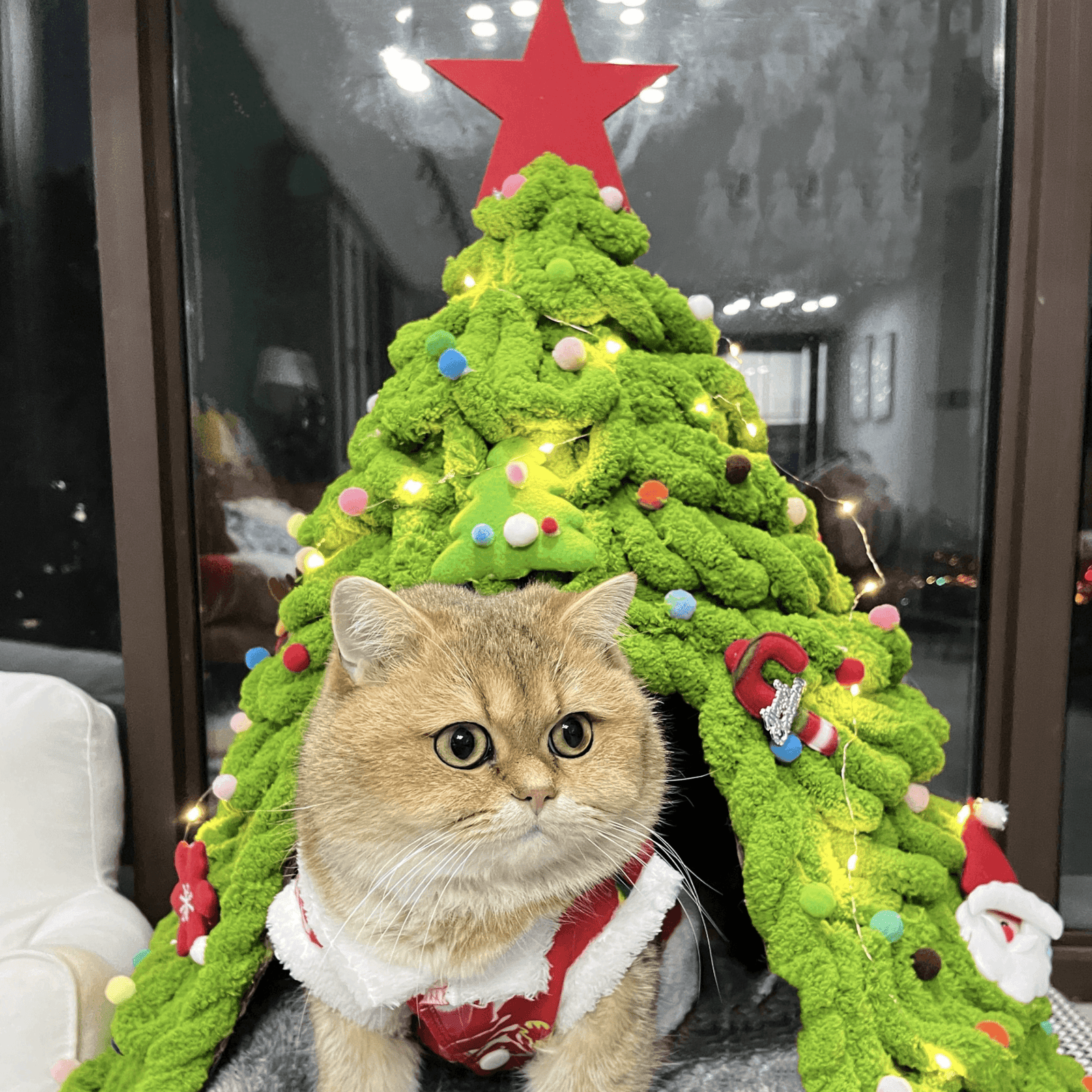 Cozy Christmas Cat Tree DIY Cat House Kit